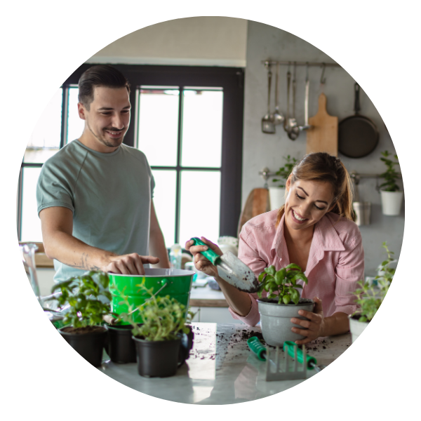 Casa, cozinha e jardim